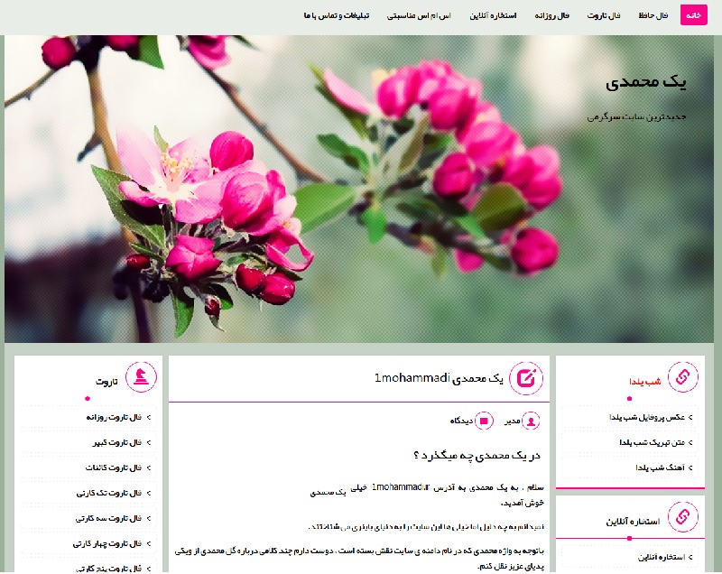 یک محمدی